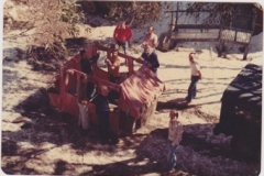 Terama-Stagecoach-Carnival-winner